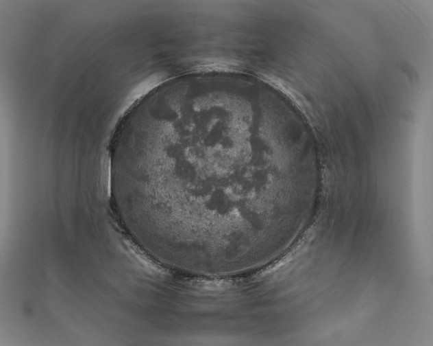 X0000111841219200907231401
