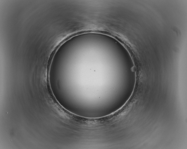X0000111841220200907231401