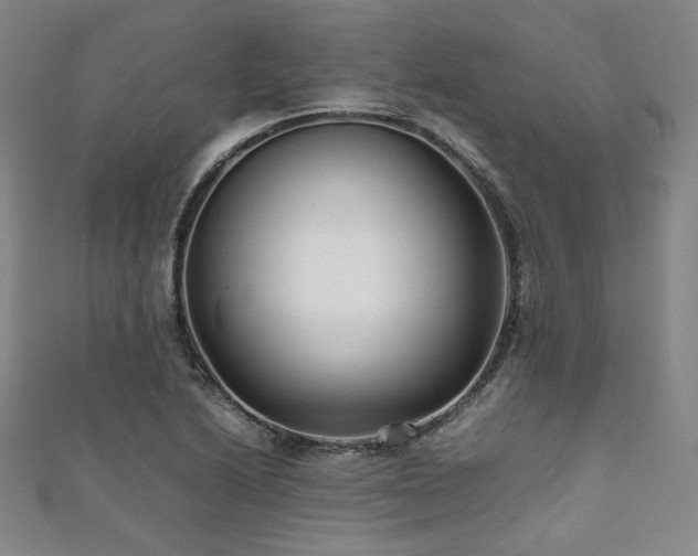 X0000111841222200907231401