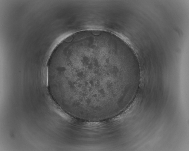 X0000111841223200907231401