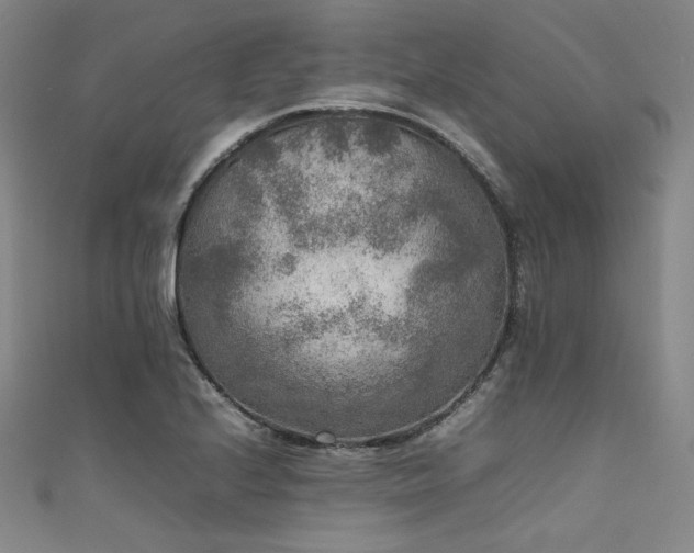 X0000111841224200907231401