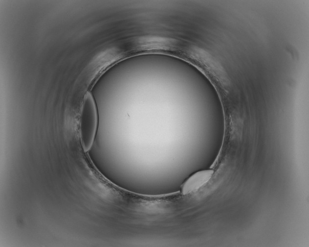 X0000111841225200907231401