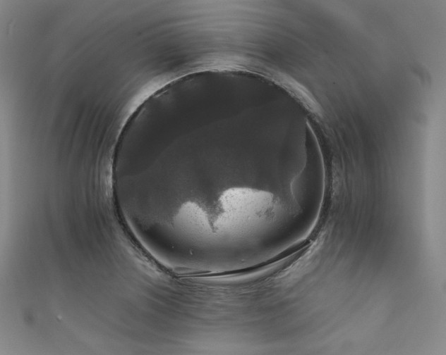 X0000111841226200907231401