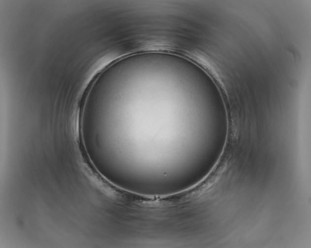 X0000111841227200907231401