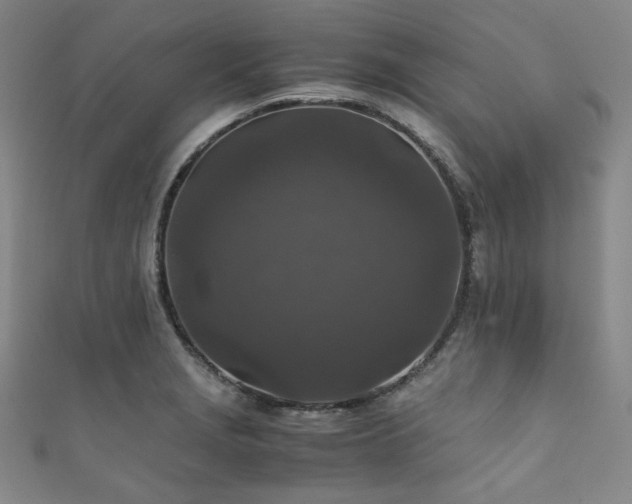 X0000111841229200907231401