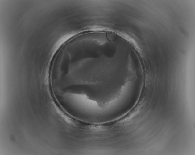 X0000111841231200907231401