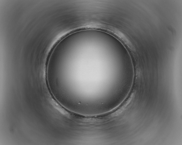 X0000111841232200907231401