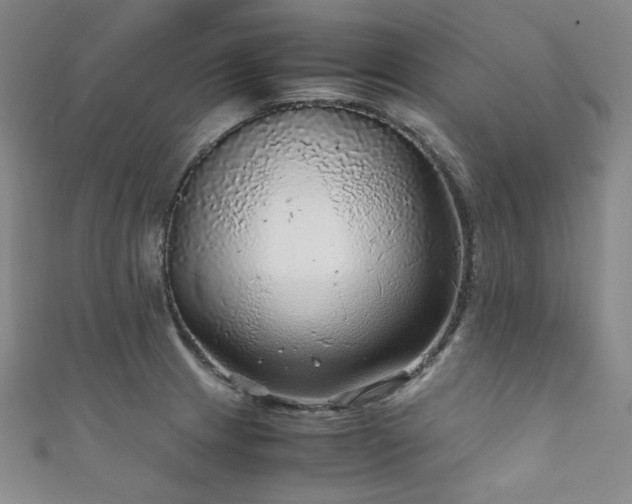 X0000111841233200907231401