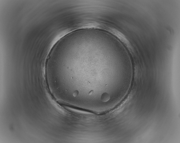 X0000111841234200907231401