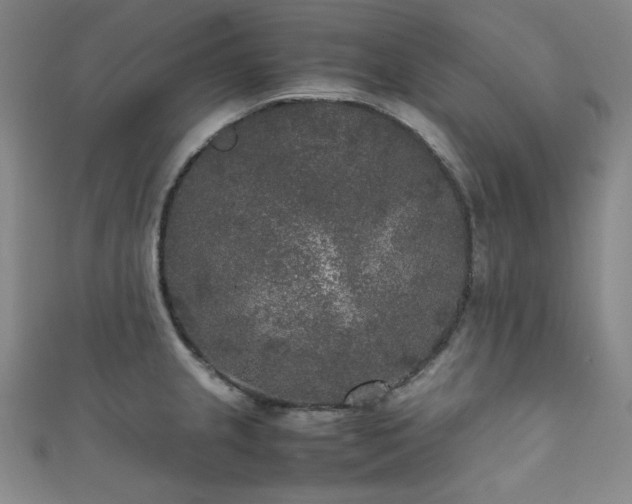 X0000111841237200907231401