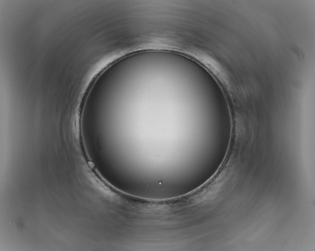 X0000111841238200907231401