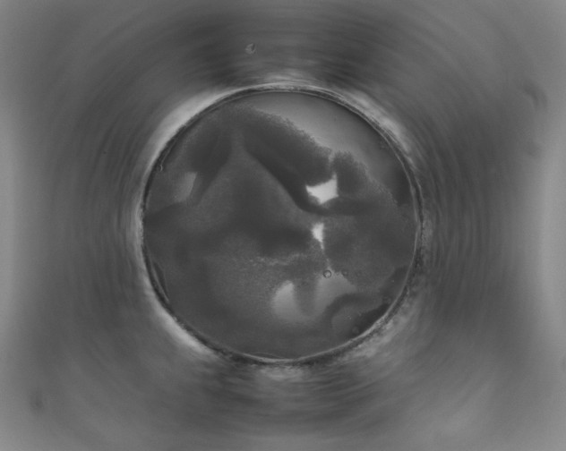 X0000111841239200907231401