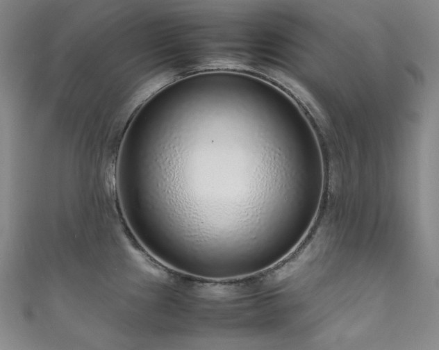 X0000111841241200907231401