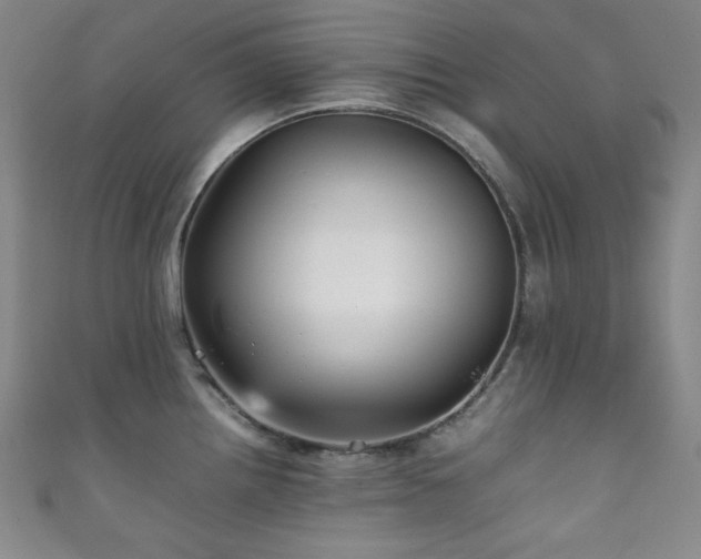 X0000111841242200907231401