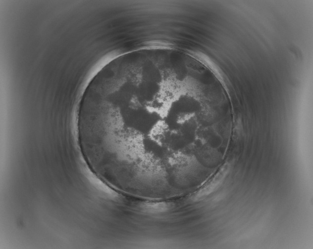 X0000111841243200907231401