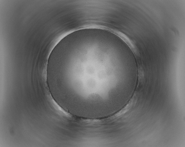 X0000111841244200907231401
