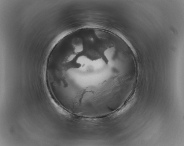 X0000111841245200907231401