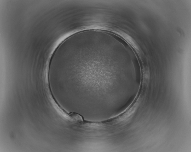 X0000111841246200907231401