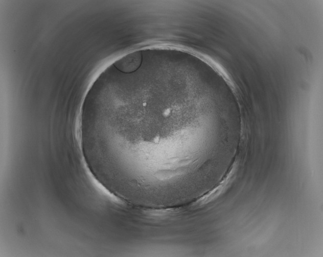 X0000111841247200907231401