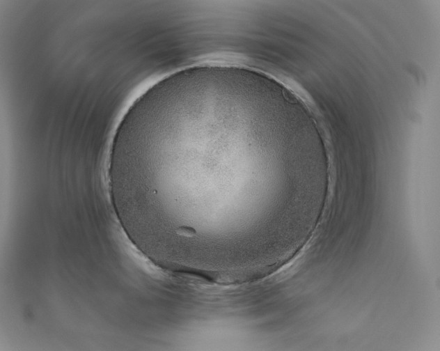 X0000111841248200907231401