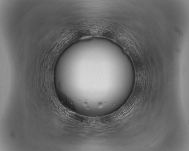 X0000111841249200907231401