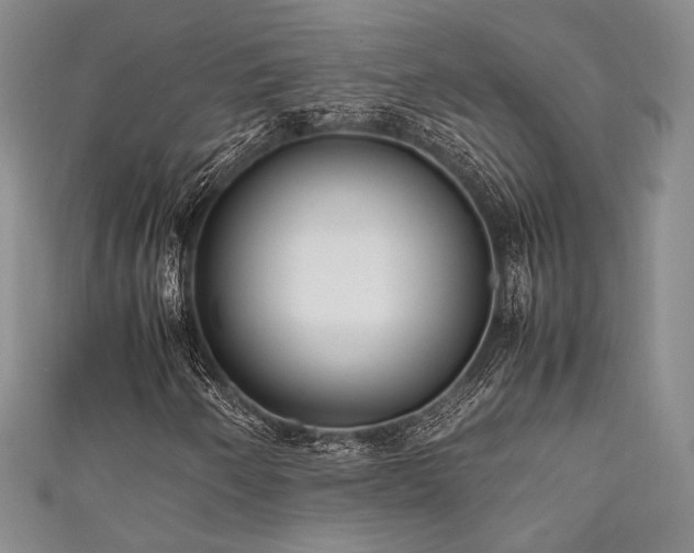 X0000111841250200907231401