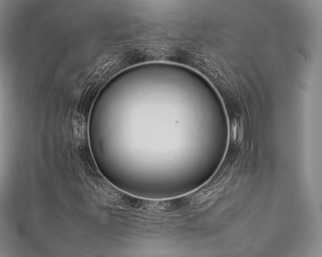 X0000111841251200907231401