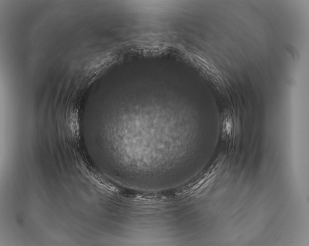 X0000111841252200907231401