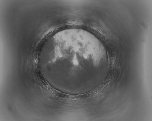 X0000111841254200907231400