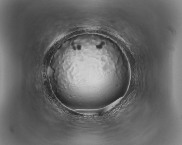 X0000111841255200907231400
