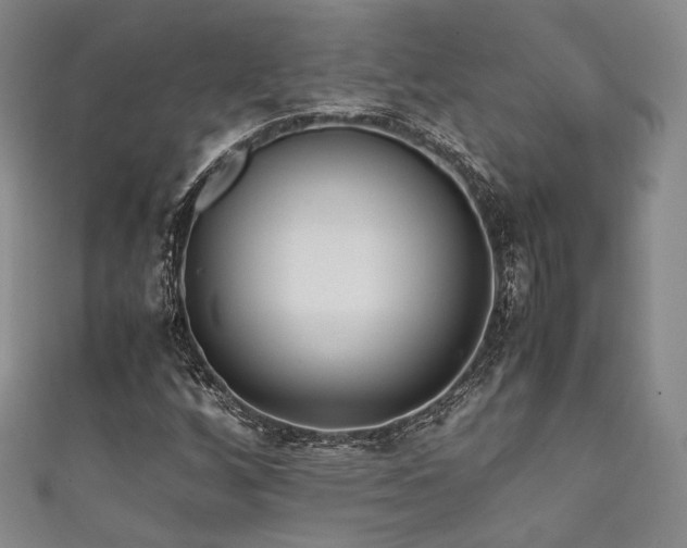 X0000111841256200907231400