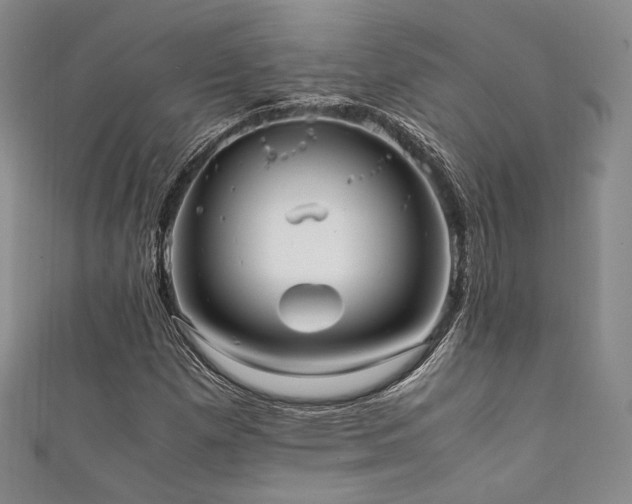 X0000111841257200907231400