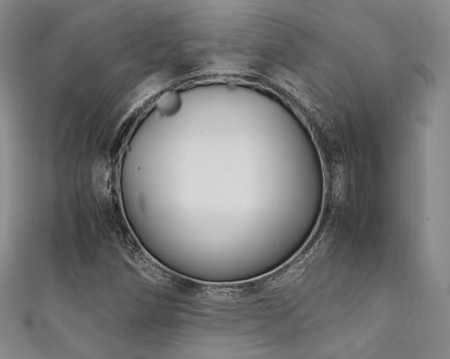 X0000111841258200907231400