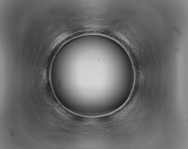 X0000111841259200907231400