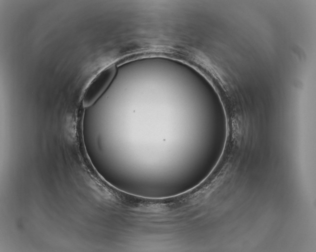 X0000111841260200907231400