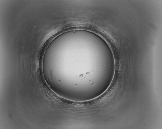 X0000111841261200907231400