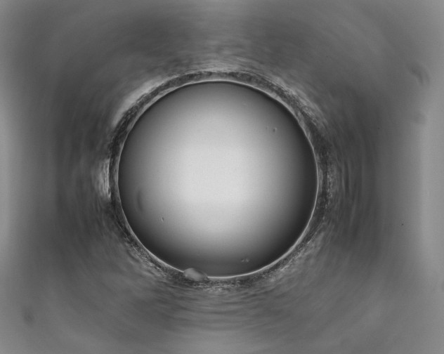 X0000111841262200907231400