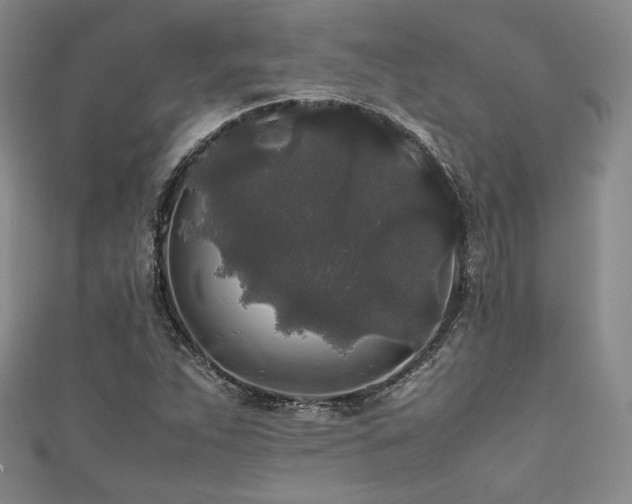 X0000111841263200907231400