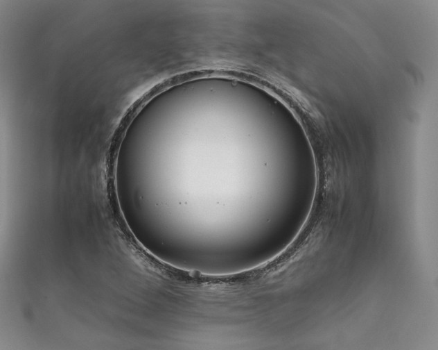 X0000111841264200907231400