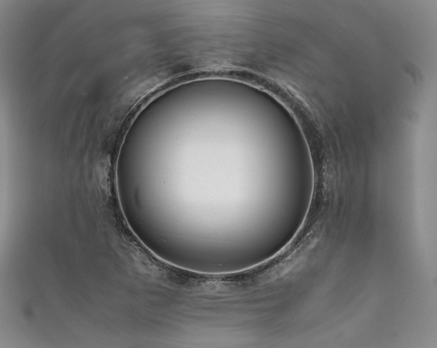 X0000111841265200907231400