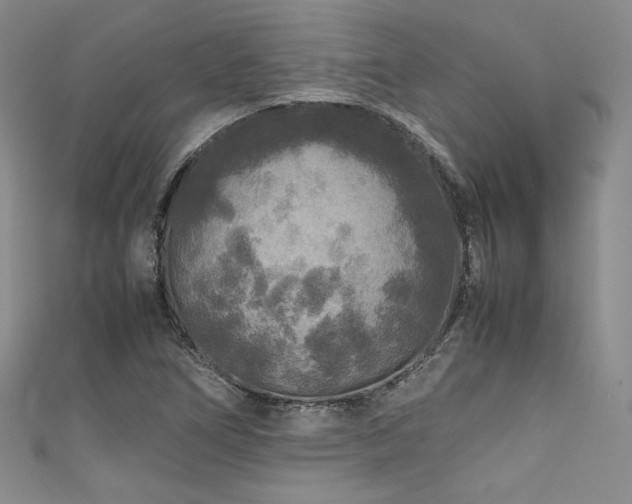 X0000111841266200907231400