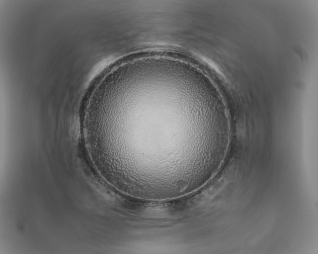 X0000111841267200907231400