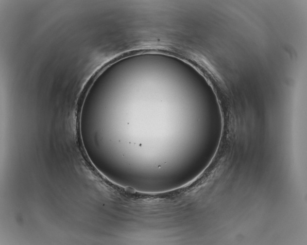 X0000111841268200907231400