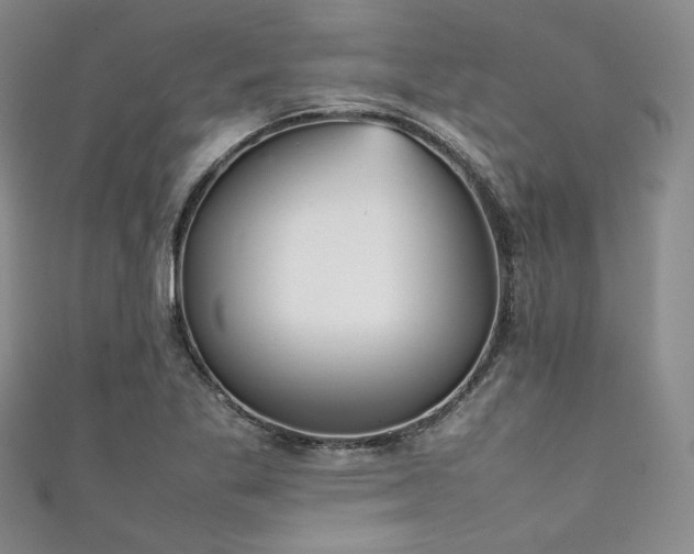 X0000111841269200907231400