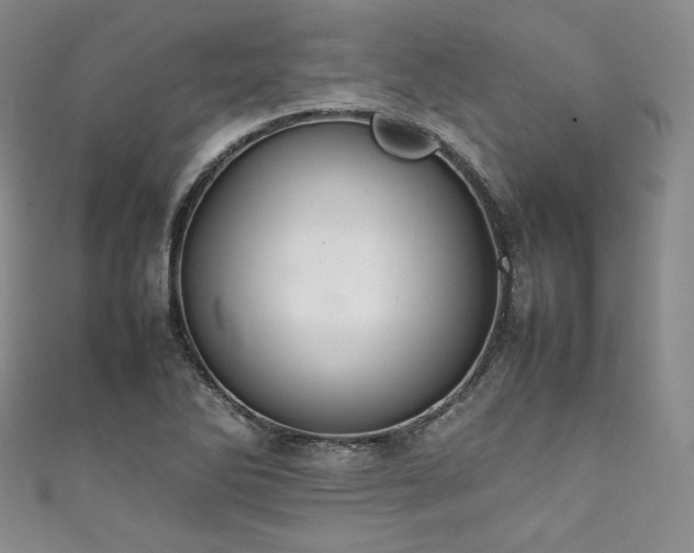 X0000111841270200907231400
