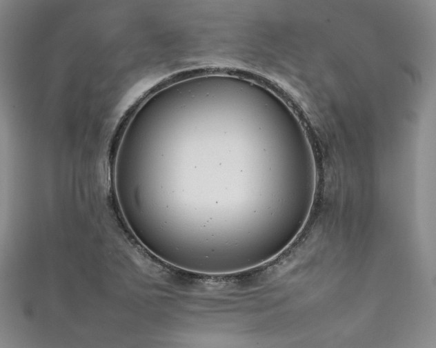 X0000111841271200907231400