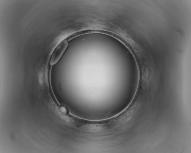 X0000111841272200907231400