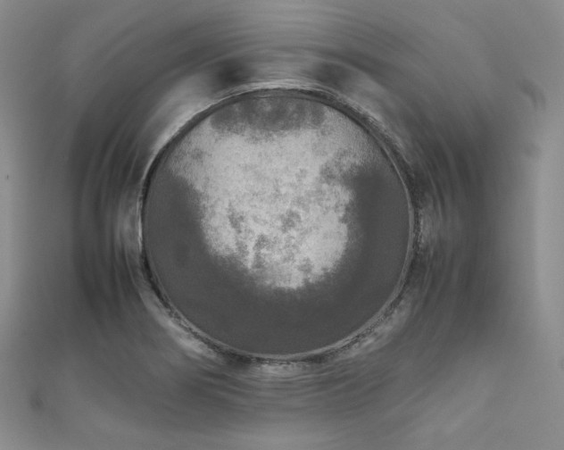 X0000111841274200907231400