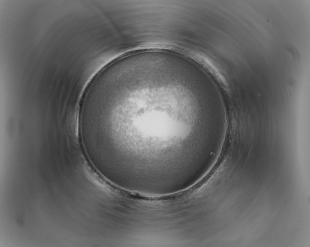X0000111841276200907231400