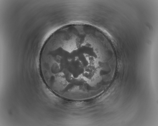 X0000111841279200907231400
